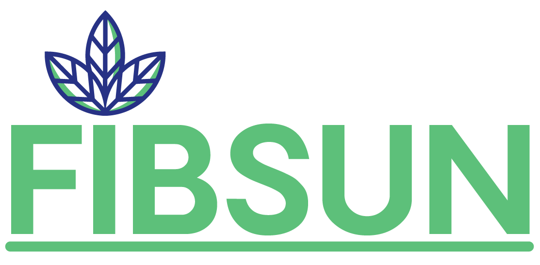 FIBSUN logo